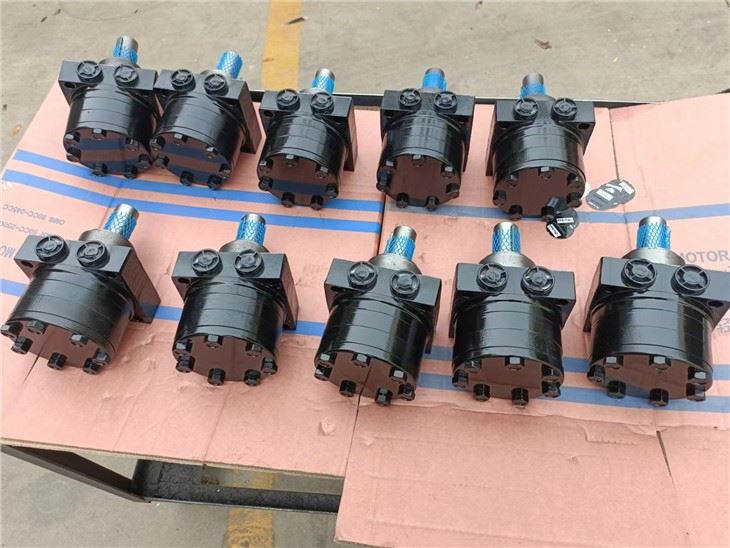 Danfoss OMS/OMT/OMV/OMP/OMR/OMRS/OMEW Small Hydraulic Motor